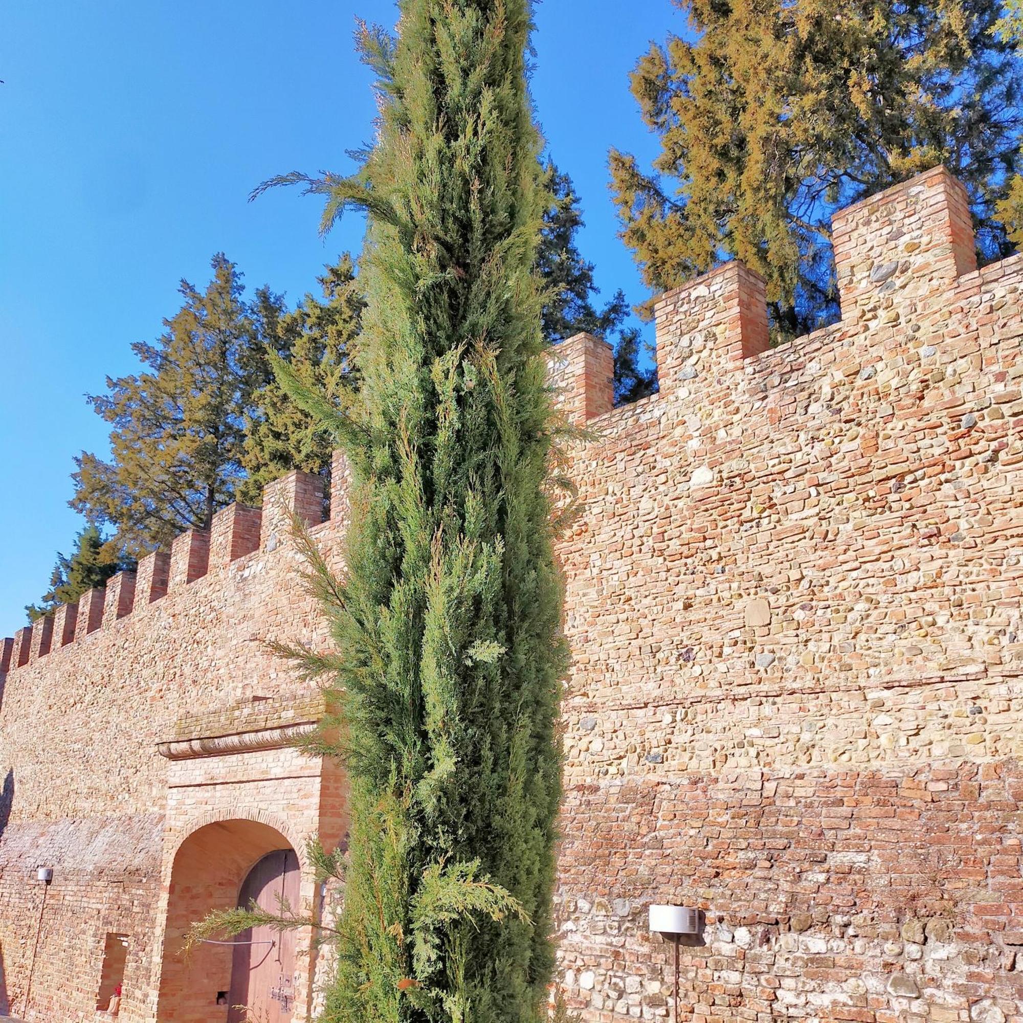 Ferienwohnung Palazzo Stiozzi Ridolfi Certaldo Exterior foto